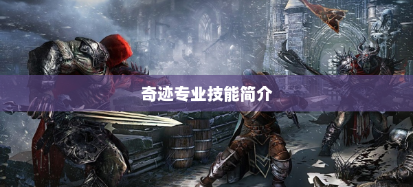 奇迹专业技能简介 第3张