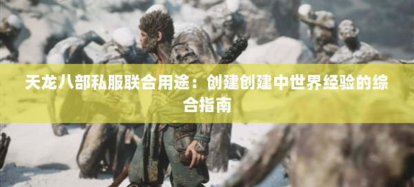 天龙八部公益私服联合用途：创建创建中世界经验的综合指南 第1张