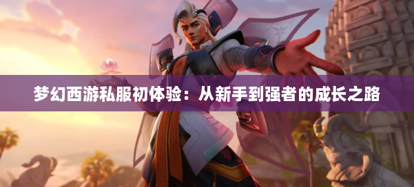 梦幻西游私服初体验：从新手到强者的成长之路 第2张