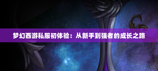 梦幻西游私服初体验：从新手到强者的成长之路