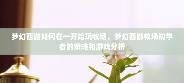 梦幻西游如何在一开始玩牧场，梦幻西游牧场初学者的策略和游戏分析 第3张