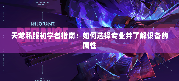 天龙私服初学者指南：如何选择专业并了解设备的属性