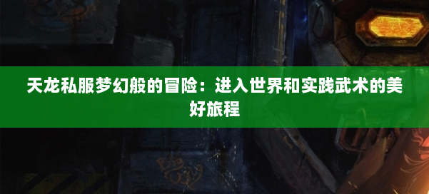 天龙私服梦幻般的冒险：进入世界和实践武术的美好旅程 第2张