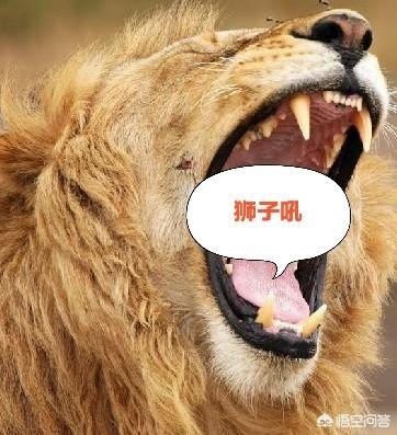 传奇世界战士如何打道士（传奇世界道士后期厉害吗）