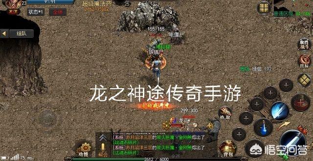 你认为传奇世界网友里战士怎么搭配最经典（传奇世界装备一览表战士）