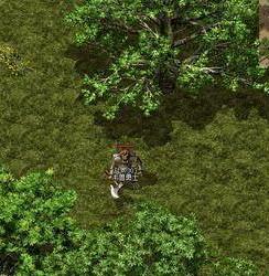 热血传奇法师千万不要召唤哪些令人头痛的宝宝（热血传奇法师召唤最厉害的宝宝）