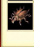 热血传奇法师千万不要召唤哪些令人头痛的宝宝（热血传奇法师召唤最厉害的宝宝） 第2张