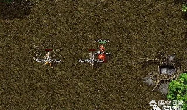 热血传奇中法师有哪些牛逼的宝宝（热血传奇法师准确有什么用）