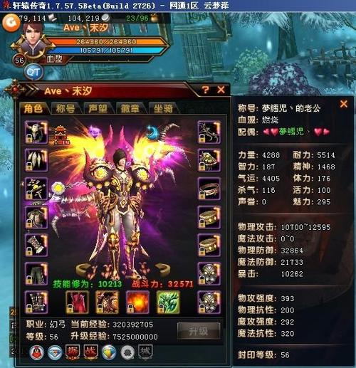 轩辕传奇sf后期职业厉害(后期职业厉害的轩辕传奇私服) 第2张