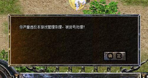 盗贼传奇私服合集白金攻略视频(盗贼传奇私服攻略视频-白金版) 第2张