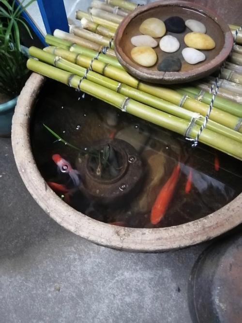 传奇私服故事深山养鱼攻略-深山养鱼攻略：私服玩家新乐园!