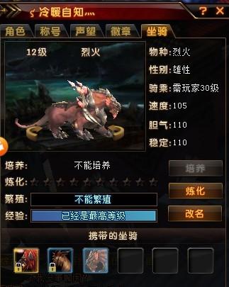 手游轩辕传奇sf狐狸职业-轩辕传奇sf新增狐狸职业，玩法不容错过！