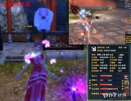 完美国际宝宝技能,完美国际:掌握宝宝技能 第2张 完美国际宝宝技能,完美国际:掌握宝宝技能 第2张