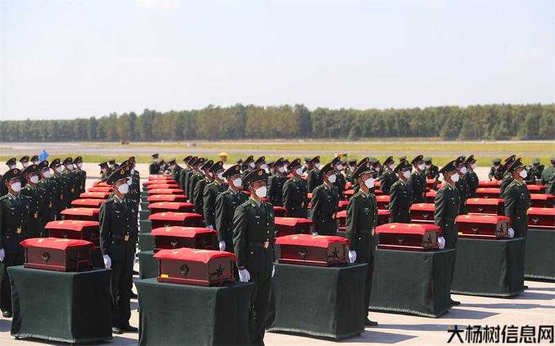 完美国际9军怎么获得,完美国际9军如何获胜？ 第2张