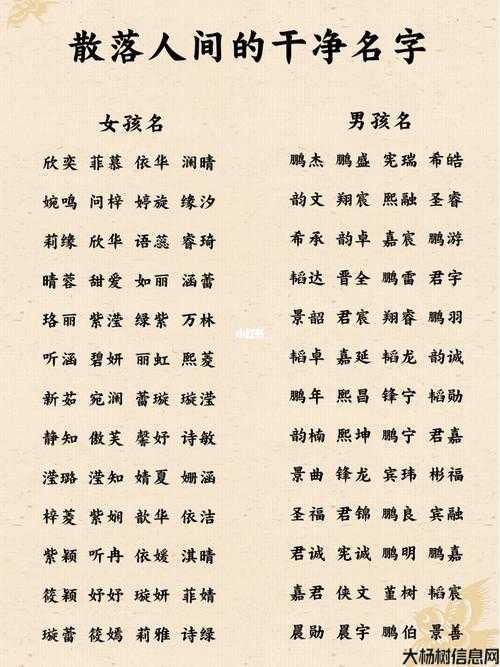 「神奇的女孩名，展现霸气魅力」 第1张