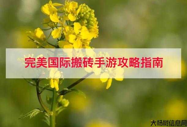 完美国际怎么搬砖,完美国际赚钱攻略 第2张 完美国际怎么搬砖,完美国际赚钱攻略 第2张