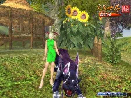 完美国际宠物忠诚度：宠物对玩家的情感连结 第1张