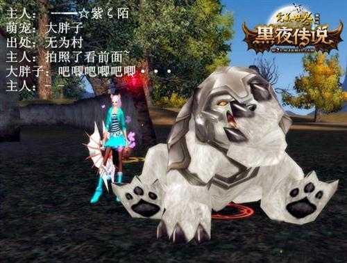 完美国际宠物忠诚度：宠物对玩家的情感连结 第2张