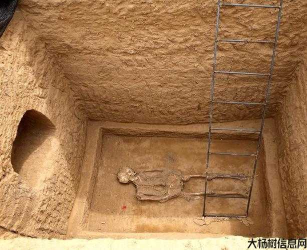 完美国际探索考古和防盗墓 第2张