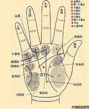 玄学自学初阶 第2张