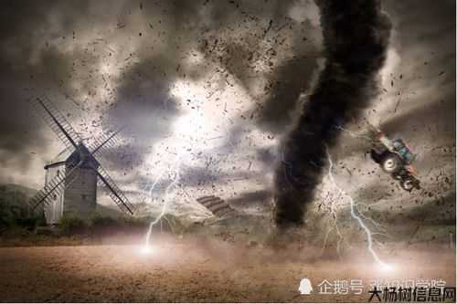 血力较量：道士术VS破飓风 第2张