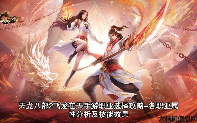 天龙八部2飞龙在天输出职业,飞龙在天职业介绍) 第1张