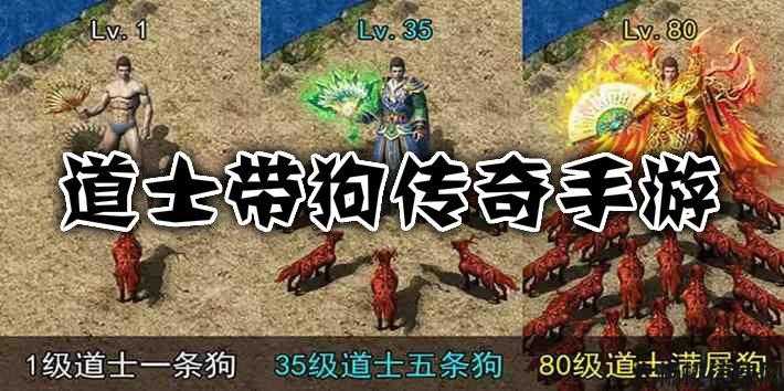 道士狗攻击力与灵魂相关 第2张