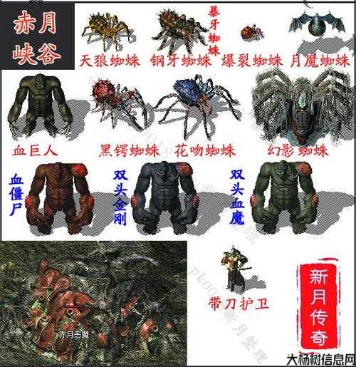 道士必备：刷怪毒物秘籍