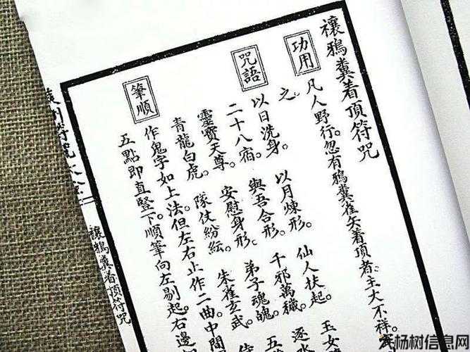 道士新招式：神秘绝技咒语