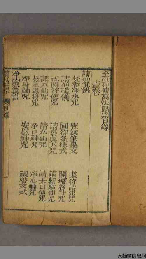 道士新招式：神秘绝技咒语 第2张