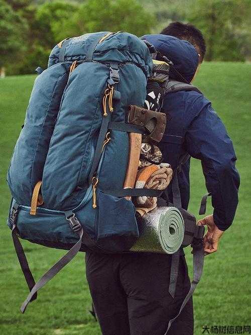 奇迹私服玩家的神秘农场经历 第2张