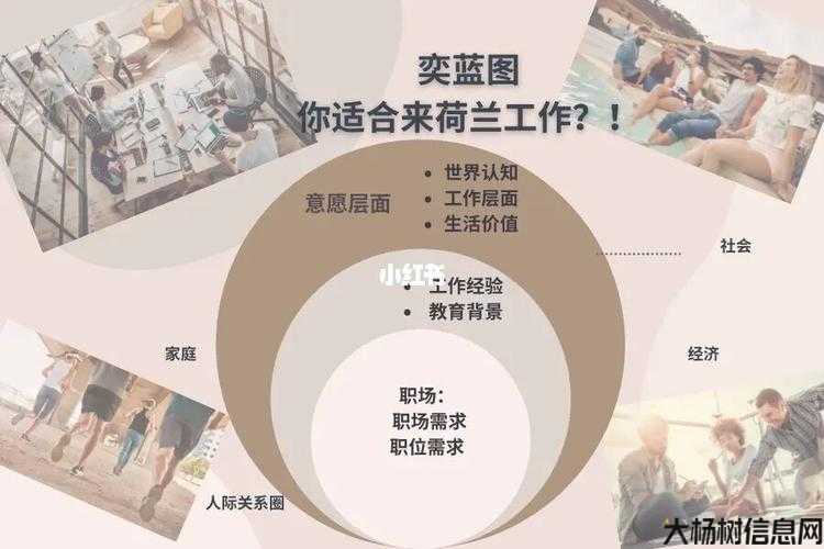 各行业职业搭配攻略详解 第2张