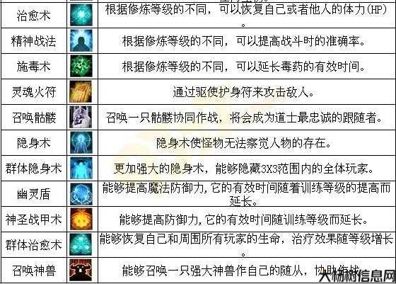 道士技能运用指南 第2张