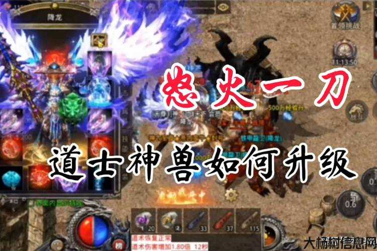 私服道士神兽快速升级攻略