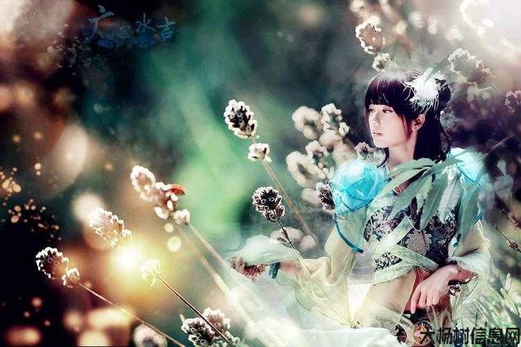 诛仙二碧瑶2.6攻略,诛仙二碧瑶攻略大全! 第1张