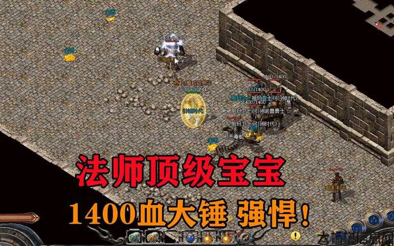 宝宝升级攻略：让热血传奇法师招的宝宝快速升级！ 第2张