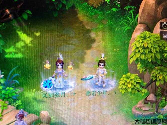 梦幻西游的锦衣幻羽是什么？ 第1张