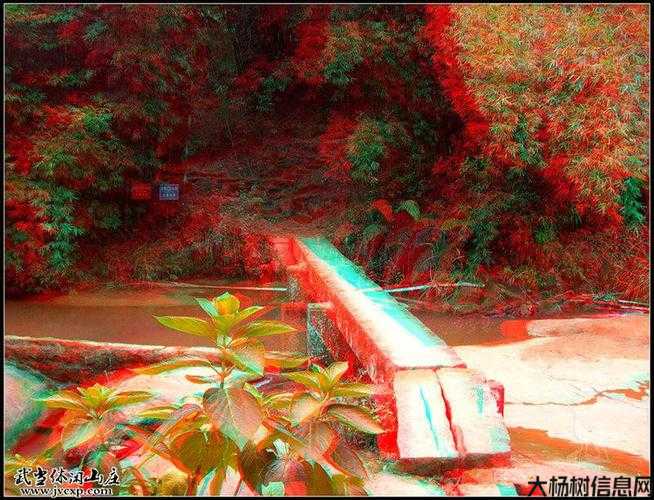 神奇3D版：全新视觉体验 第2张