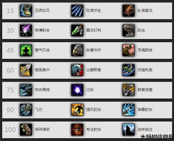 魔兽世界sf7.3射击猎攻略,7.3版本魔兽世界射击猎攻略 第2张