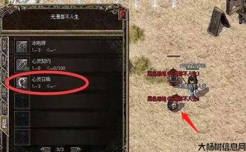 私服新手必知：金币传奇心灵召唤使用方法！