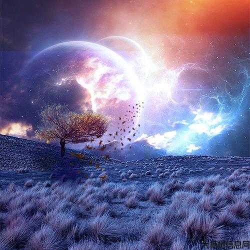 探索神秘奇幻的世界 第1张