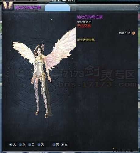 最强私服翅膀推荐 第2张