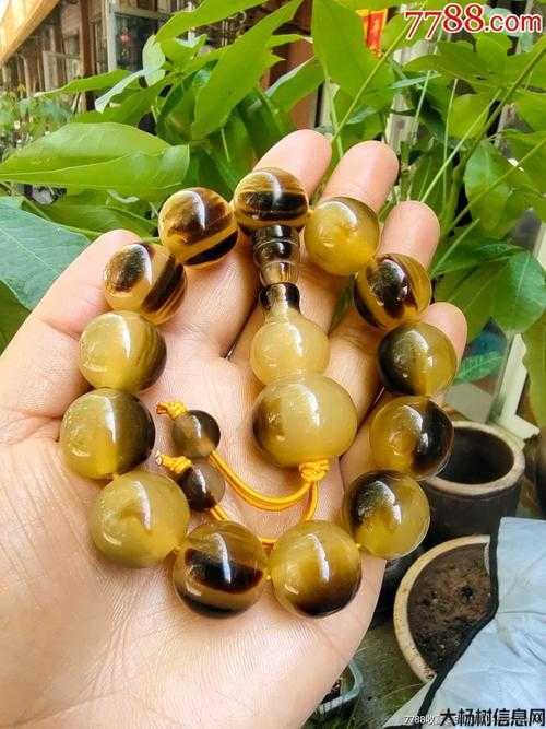 江湖珠子食用的影响调查成功揭晓! 第2张