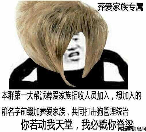 后：帮会成员名加前缀母，集体显身份 第2张