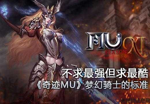 梦幻骑士的奇迹 第2张