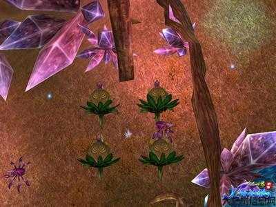 深度挖掘完美国际月魂水晶攻略 第2张