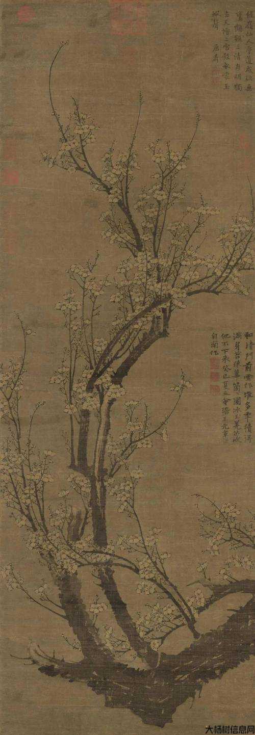 完美国际减唱王冕之魂最多多少？ 第2张