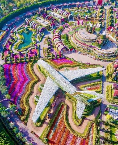 奇迹花园打卡必备攻略 第1张