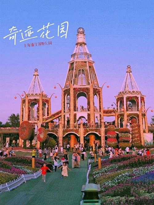 奇迹花园打卡必备攻略 第2张