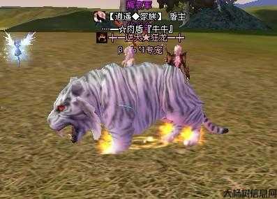 完美国际ss激烈对战评测 第2张